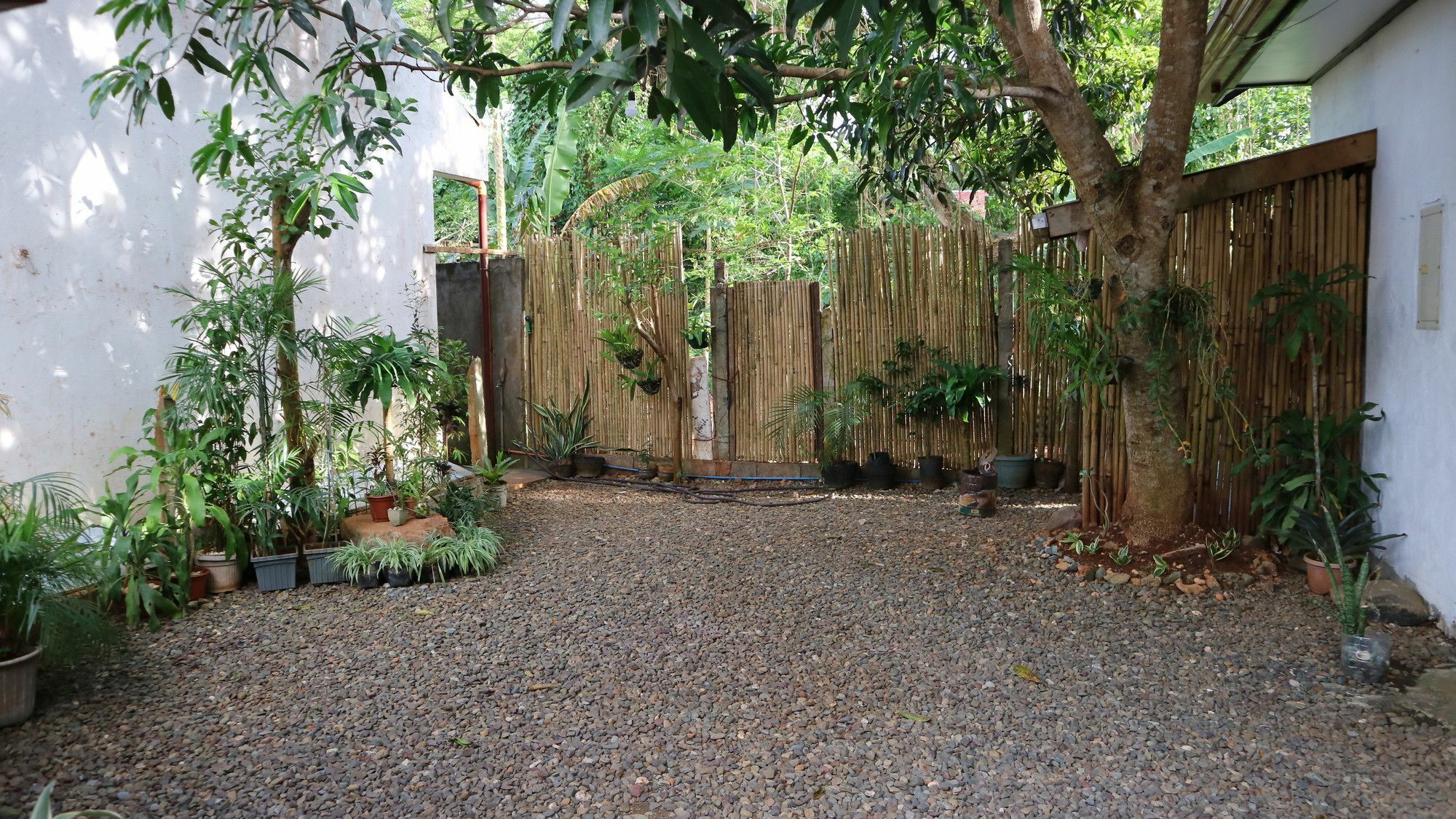 Teresita Pension Puerto Princesa Exterior photo